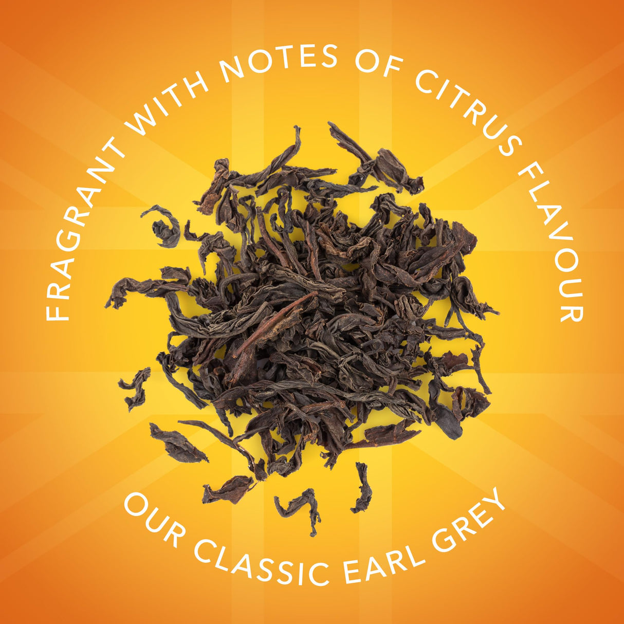 Twinings Earl Grey Loose Leaf Black Tea, 17.64 Ounce (500g) Tin, Caffeinated, Enjoy Hot or Iced