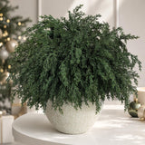 16PCS Christmas Cedar Pine Stems Branches Decor Artificial Greenery Picks