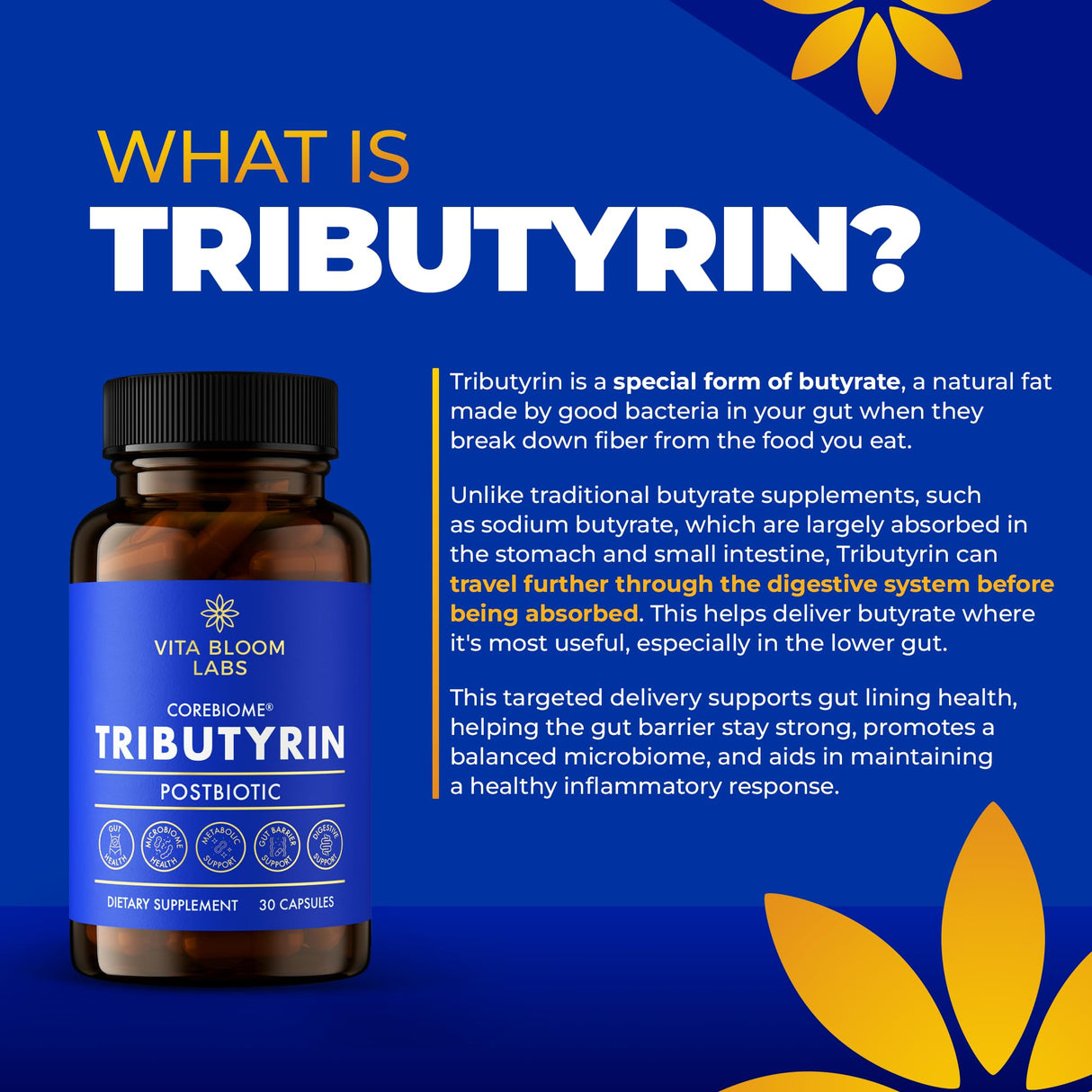 CoreBiome Tributyrin Supplement - Better Delivery & More Effective than Sodium Butyrate - Gut Health & Digestive Support - 3-in-1 Butyrate Postbiotics for Leaky Gut & Gut Barrier Support - 30 Capsules