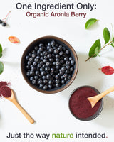 Green Valley Superfoods Organic Aronia Berry Juice Powder, Chokeberry, Antioxidant Rich Anthocyanins (1 Pound)