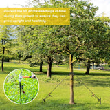 Sintuff 36 Pcs Heavy Duty Tree Stake Kits Stake and Support for Young Leaning Tree Anchor Straightening Kit, 15.8'' Support Straps, 11.8'' Steel Stakes, 13.12ft Rope Against Bad Weather(Army Green)