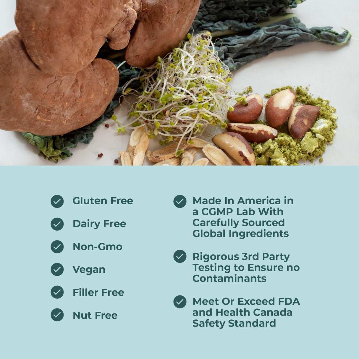 Papillex Dietary Supplement Tablets by Papillex - All Natural Immune Support - Immunity Defense - Best Immune System Booster - Organic 60 Capsules