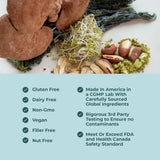 Papillex Dietary Supplement Tablets by Papillex - All Natural Immune Support - Immunity Defense - Best Immune System Booster - Organic 60 Capsules