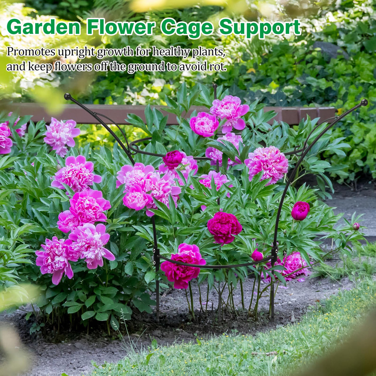 HEYTIMI 4 Pack Peony Cages and Supports Cages 13" D x 22.8" H Heavy Duty Metal Support Frame for Peonies & Roses Natural Bouquet Shape Garden Stakes for Outdoor Plants Flowers Ornamental (Black)