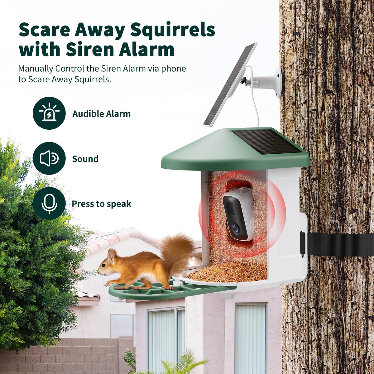 HARYMOR Smart Bird Feeder with Camera - AI Identify Birds Species, Solar Powered Bird House with Cam, 2L Large Capacity, 2K HD Video Live Stream, Instant Arrival Alerts - Green