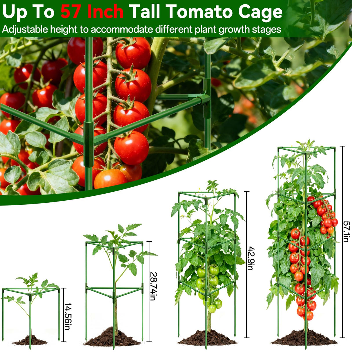 Halatool 57" Tall Tomato Cages, 4 Pack Heavy Duty Plant Support for Garden