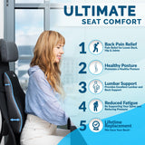 ComfiLife Lumbar Support Pillow for Office Chair – Premium Memory Foam Lumbar Pillow – Back Support for Office Chair, Car – Back Pain Relief, Improves Posture – 3 Adjustable Straps, Mesh + Leatherette