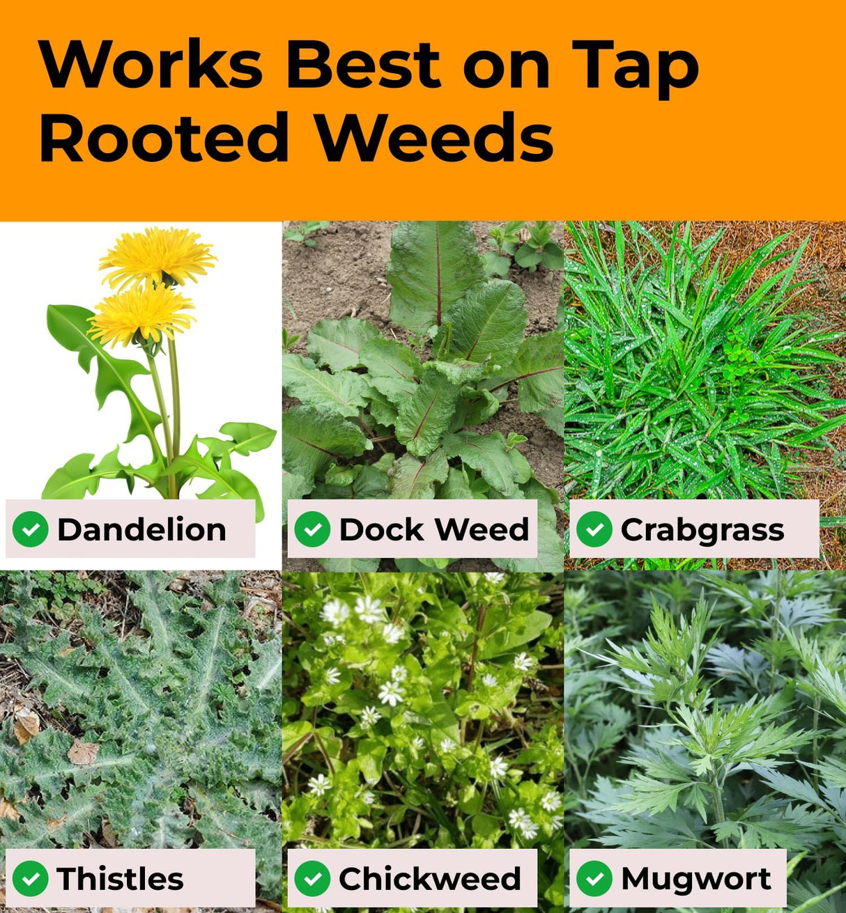 Craft911 Stand Up Weed Puller Tool with Long Handle - Dandelion Weeding Tool, No More Bending