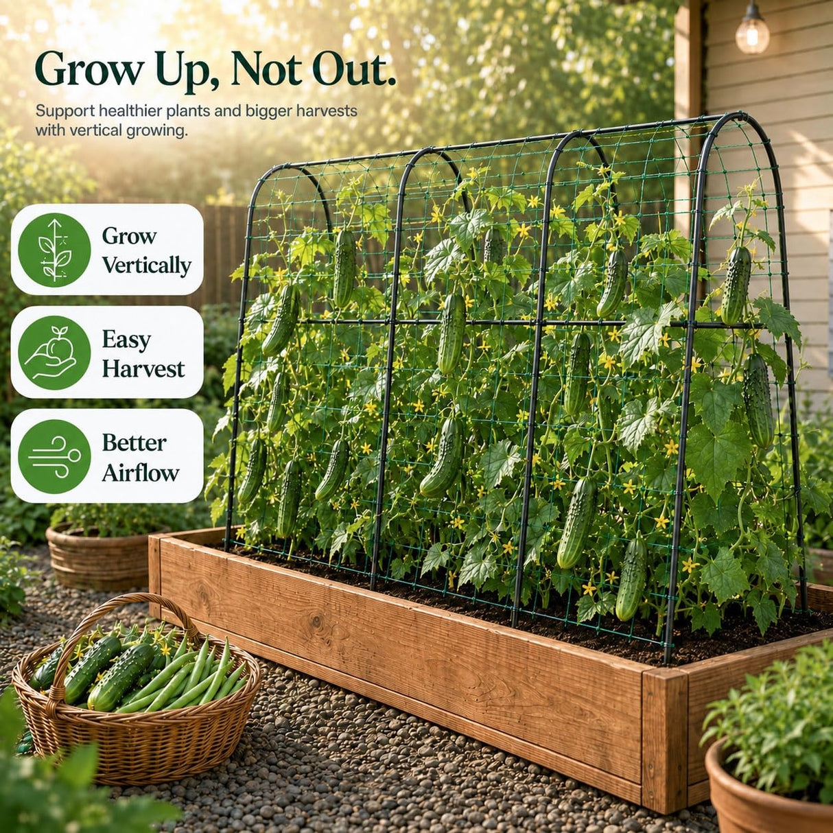 FOLLOOK Cucumber Trellis for Raised Garden Bed, 63x48inch, Black