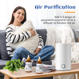 HIQILI 100ML Spearmint Oil for Skin Care, Facial, Can be Added to Lotions, Creams -100% Pure Natural Treatment Grade - 3.38 Fl Oz