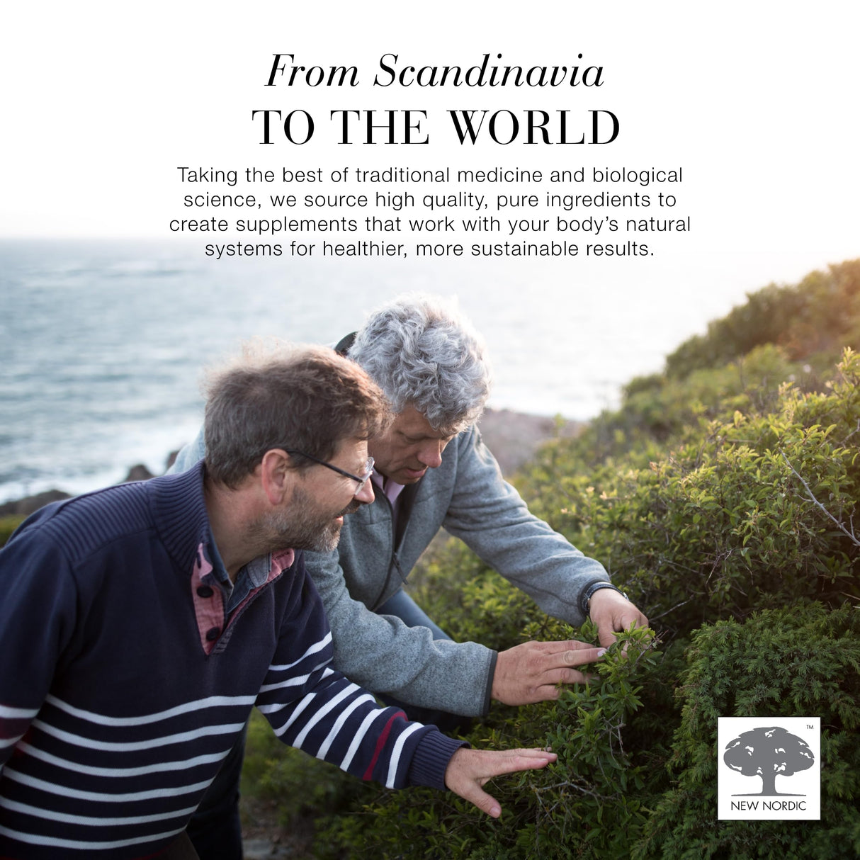 NEW NORDIC Hair GRO, Hair Growth Supplement, Biotin & Palm Fruit Extract Tocotrienols for Natural Regrowth, 60 Count (Pack of 3)