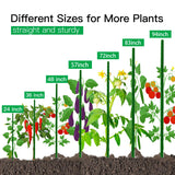 Garden Stakes 8ft, Metal Plant Stakes 8 Feet for Gardening and Farm, 0.78 Inch Dia Plastic Coated Plant Support for Tomato, Cucumber, Bean, Flower, Potted and More Climbing Plants 10 Pack