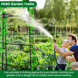 PKBD Tall Garden Arch Trellis for Climbing Plants Outdoor