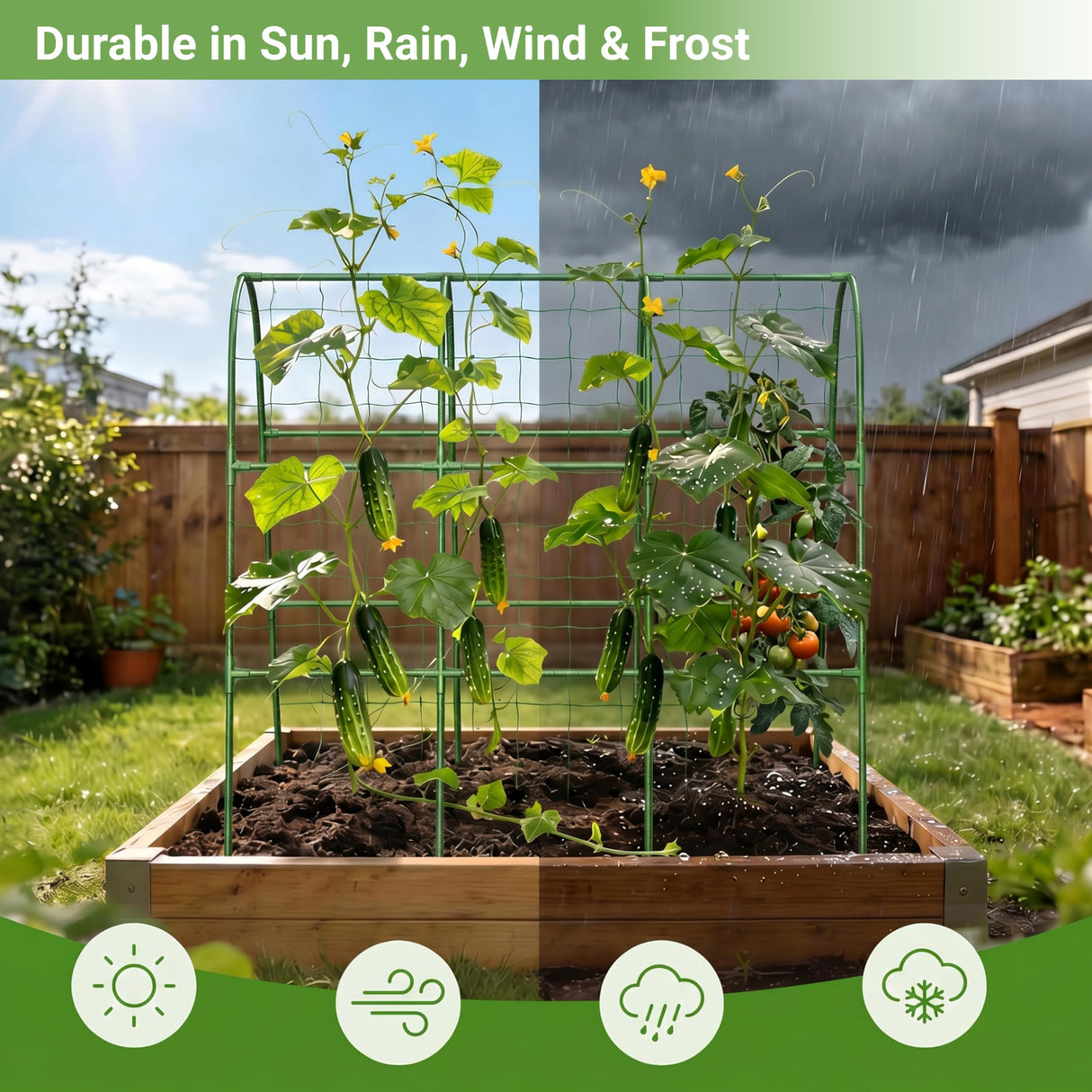 Cucumber Trellis for Raised Bed, U-Shape Arch Metal Garden Trellis for Climbing Plants, Heavy Duty Plant Trellis Outdoor, Easy Assembly Rustproof Trellis for Vines (U Frame Trellis)