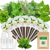 Gourmet Herb Seed Pod Kit for AeroGarden, idoo, Ahopegarden, MUFGA Hydroponics Garden with Basil, Parsley, Thyme, Mint, Cilantro, Dill, Oregano - Compatible with All Hydroponics (7-Pod)