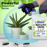 Mighty Mint Gallon (128 oz) Insect and Pest Repellent Peppermint Oil - Natural Spray for Spiders, Ants, and More