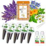 Lavender Seed Pod Kit, 8 Pod Kit (Include Seed Lavender/Chamomile/Holy Basil/Borage/Calendula/Mint) Fresh Tea Seed Pod Kit Compatible with Hydroponics