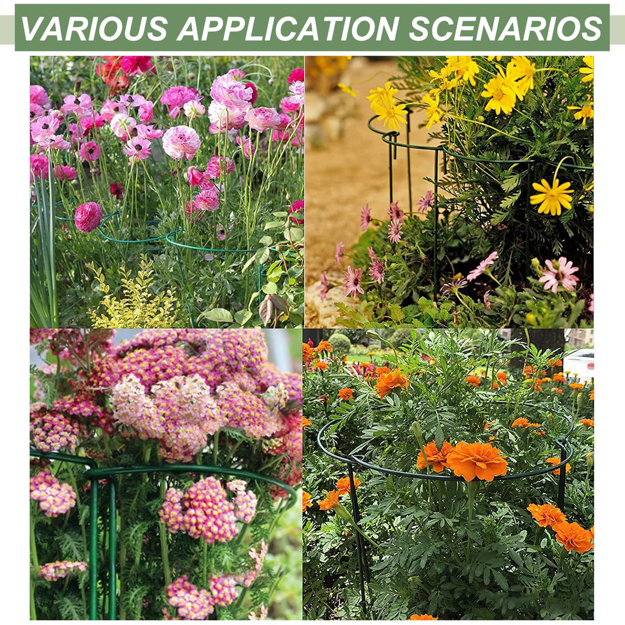 12 Pack Plant Support Stake Peony Cages, 16 Inch Peony Supports for Outdoor Plants, with 15 Pcs Plant Labels, 20 Pcs Plant Clips, 7ft Plant Ties