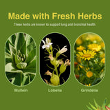 Herbs Etc. Lung Tonic - Lung Supplement for Bronchial Support - Healthy Breathing Support with Mullein, Horehound & Grindelia - 120 Softgels