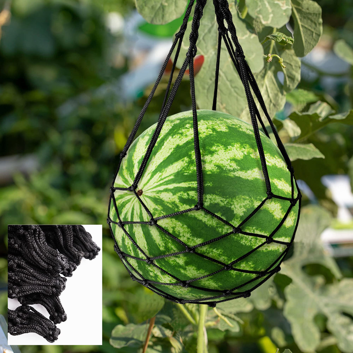 Pack 10 Melon Hammock Watermelon Nets,Melon Hammock for Trellis Heavy Duty Watermelon Nets,Perfect for Growing Cantaloupe Black