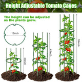 POILKMNI 3 Pack Tomato Cage for Garden - 59'' Tall Plant Support Heavy-Duty Tomato Trellis, Adjustable Garden Trellis for Climbing Plants Vines Vegetables Flowers Cucumber Peony Plant Cage