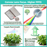 Under Shelf Grow Light, USB Powered Adhesive Stick On LED Under Cabinet Puck Light with Timer, Full Spectrum High PPFD Small Plant Light for Shelves, Indoor Plants, Terrarium, Display Case (3500K)