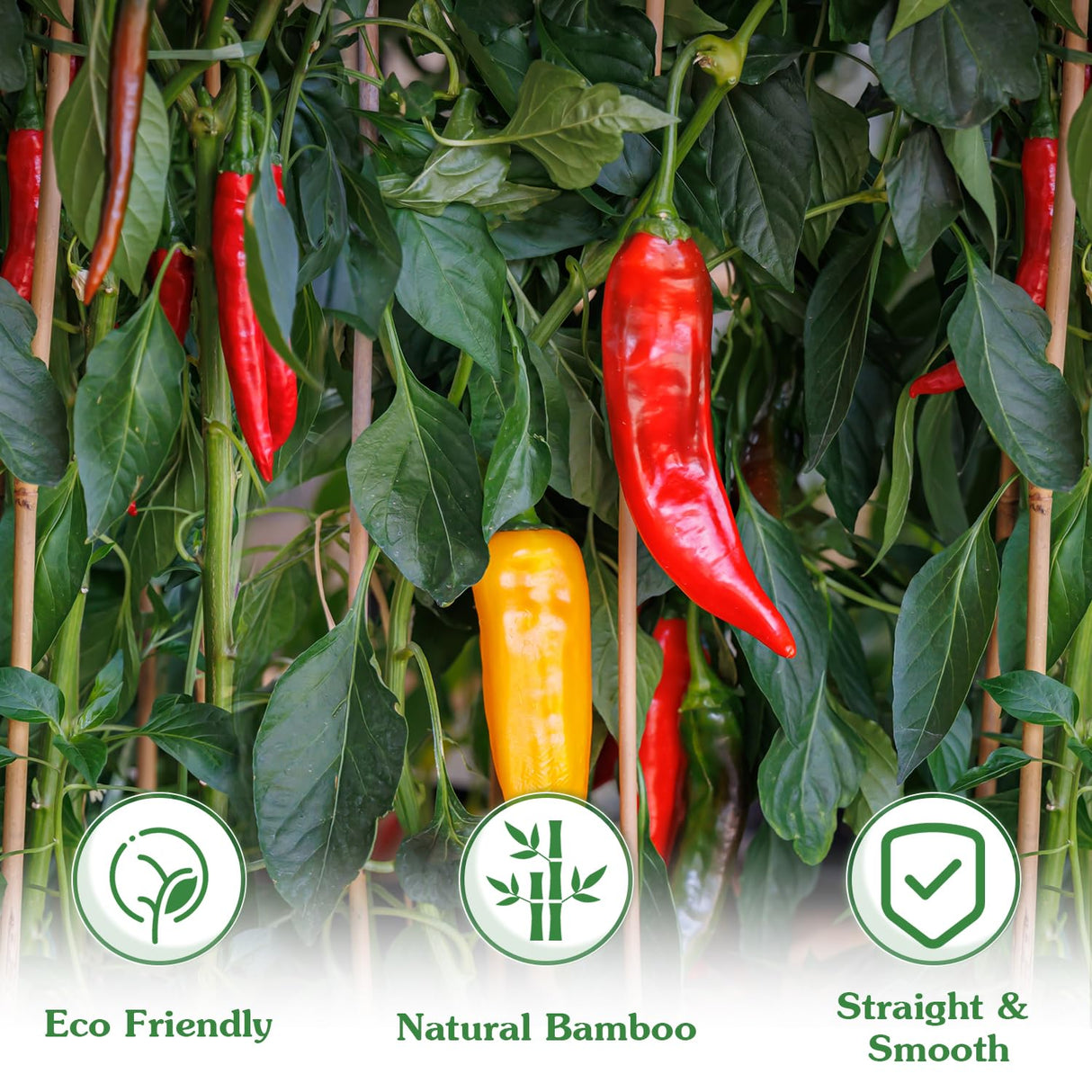 Plant Stakes, 4.8 FT Natural Bamboo Stakes Plant Support Stakes - 25Pcs
