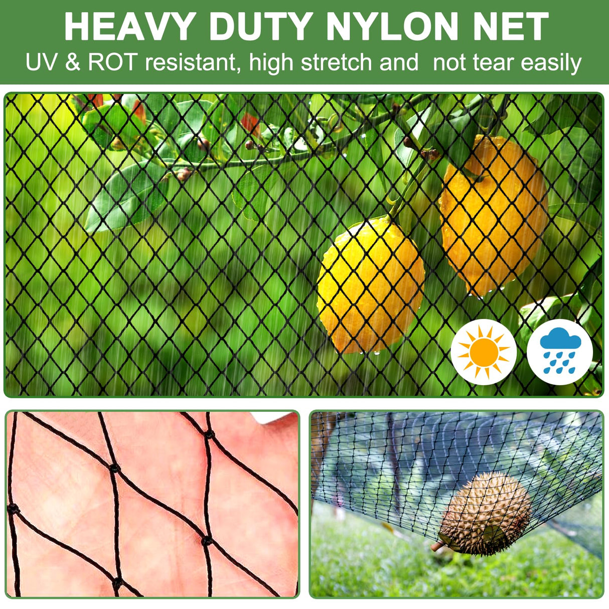 DQS Bird Netting 50' x 50', 2.4" Square Mesh Garden Netting, Poultry Net