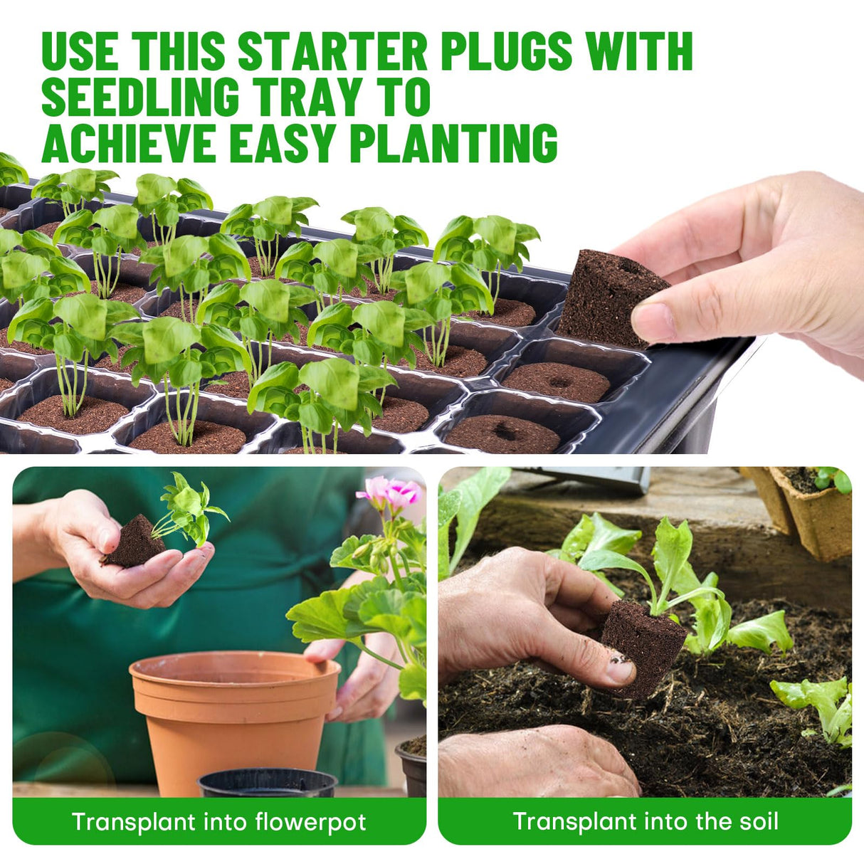 LAPOND 40 Pcs Seed Starter Plugs with Tray, Replacement Grow Sponges Plant Plugs, Great for Soil, Tray or Planting Pods, Promotes Herbs, Vegetables and Flowers Growth