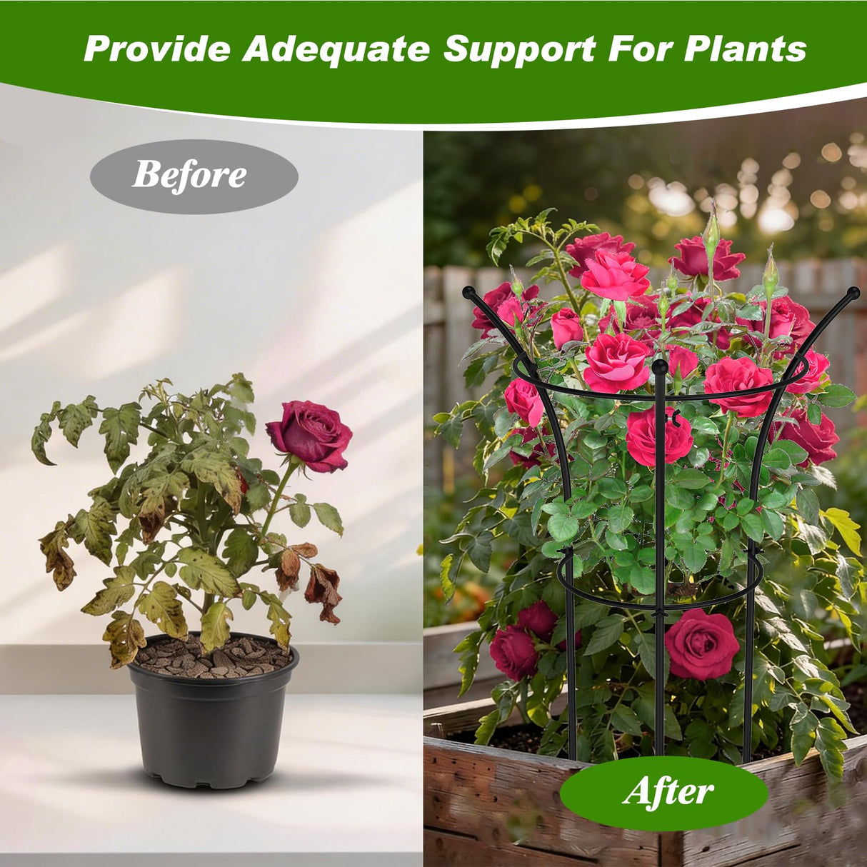 4 Pack Peony Cages and Supports, 12.5"Dx24"H Dual-Ring Metal Plant Supports