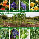 Trellume Garden Arch Trellis for Climbing Plants Outdoor - 83" H*71" W*43" L Large Rustproof Garden Trellis, Heavy Duty Grape Trellis, Tunnel Trellis for Melons, Pumpkins, Cucumbers, Peas(Black)