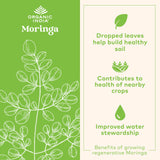 ORGANIC INDIA Moringa Powder - Moringa Oleifera Leaf Herbal Supplement, Green Superfood, Nutrient Dense, Pure Plant Protein, Vitamin A, E, K, Iron, Calcium, Fiber, Vegan, USDA Certified Organic - 8 oz