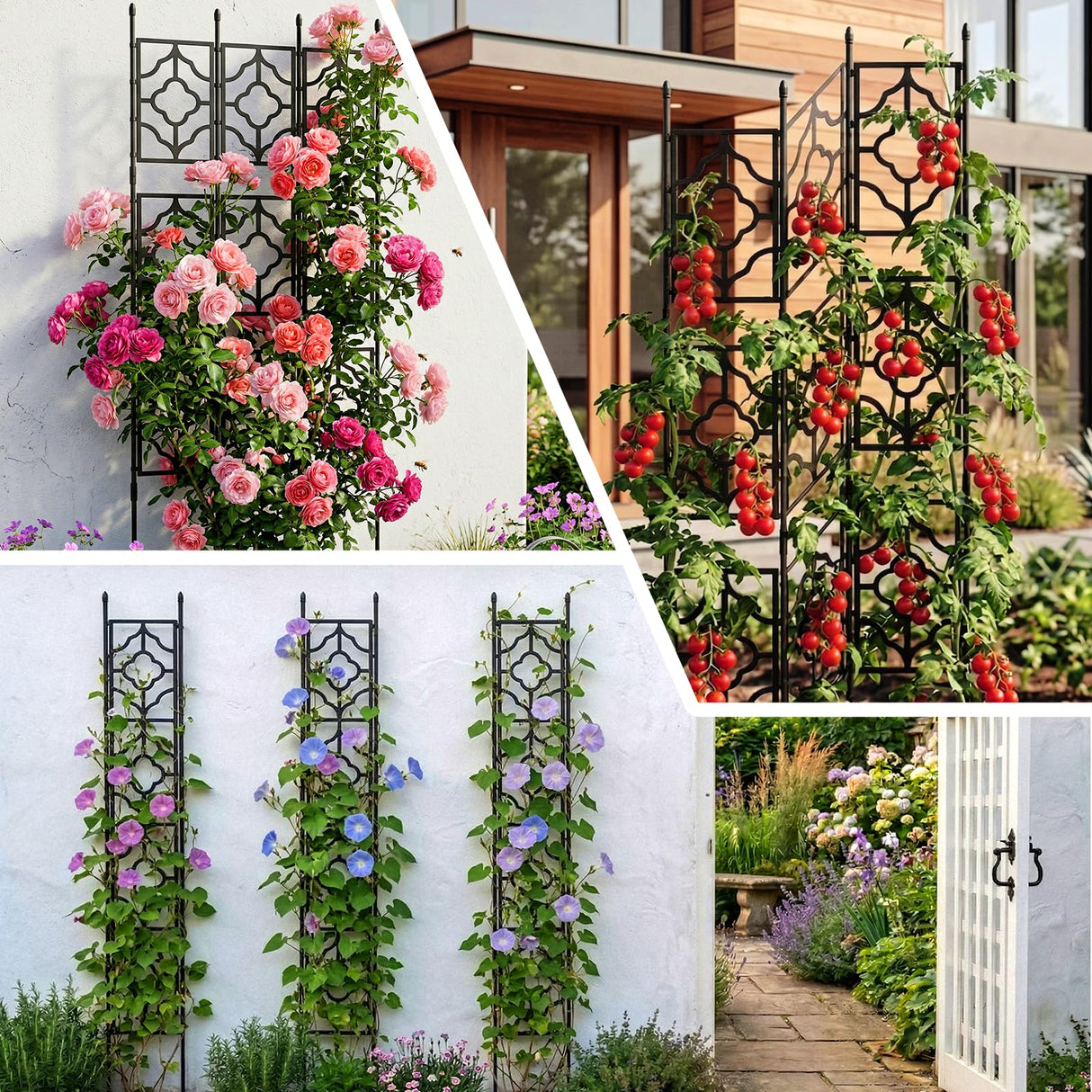 5.25FT Garden Trellis for Climbing Plants, Wall Trellis, 63 Inch Support Fence Climbing Plant Frame Outdoor and Indoor, Privacy Screen Plant Support Fence for Ivy Vines Vegetable Flower