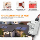 Pjerjzn Solar Panel Disconnect Switch 1000V 60A PV Disconnect Switch Outdoor Miniature Circuit Breaker IP65 for Solar PV Homes Battery (1000V 60 Amp)