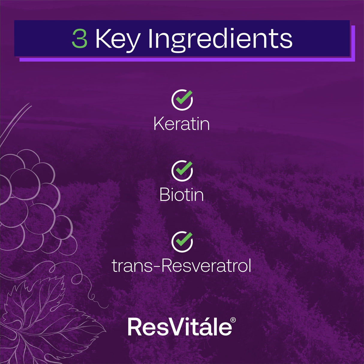 ResVitale Keratin Hair Enhance - Keratin Supplement for Hair Growth - 60 Capsules