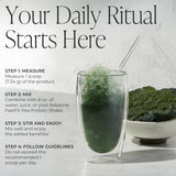 Arbonne BeWell Superfood Greens Powder - Health Supplement Powder Made from a Variety of Fruits and Vegetables, Organic Green Juice Supplement, 7.8 oz