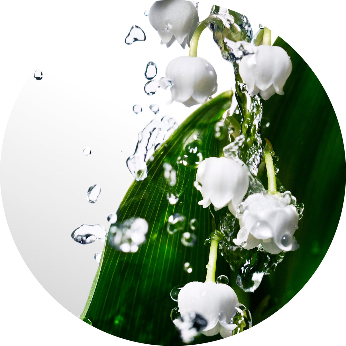 Davidoff Cool Water Woman 3 Piece Set