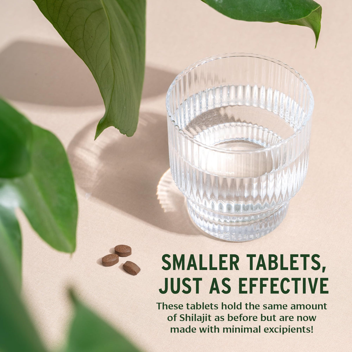 Banyan Botanicals Shilajit – Organic and Sustainable Mineral Pitch – Mineral-Rich Shilajit Supplement for Natural Detoxification and Healthy Aging* – 90 Tablets – Non GMO Sustainably Sourced Vegan