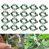 50Pcs Plant Support Clips, Plastic Trellis Garden Support Clips for Climbing, Plant Fixing Clips for Climbing Plants,Grape and Vine Vegetables, Reusable Clips to Grow Upright Makes Plants Healthier