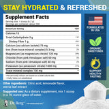 Dr. Berg Zero Sugar Hydration Keto Electrolyte Powder - Enhanced w/ 1000 mg of Potassium & Real Pink Himalayan Salt (NOT Table Salt) - Lemonade Flavor Hydration Drink Mix Supplement - 100 Servings