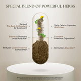 Dr Clark Wormwood Super W Blend 330 mg, 100 Gelatin Capsules