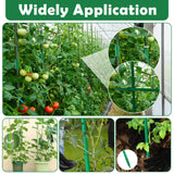 Cludoo 208PCS Garden Stakes Set with 60 Sets Fiberglass Plant Stakes Sticks Supports and Accessories, DIY 4ft 5ft 6ft 7ft Tomato Stakes for Tomato,Vegetables, Pepper, Fences Indoor Outdoor Plants