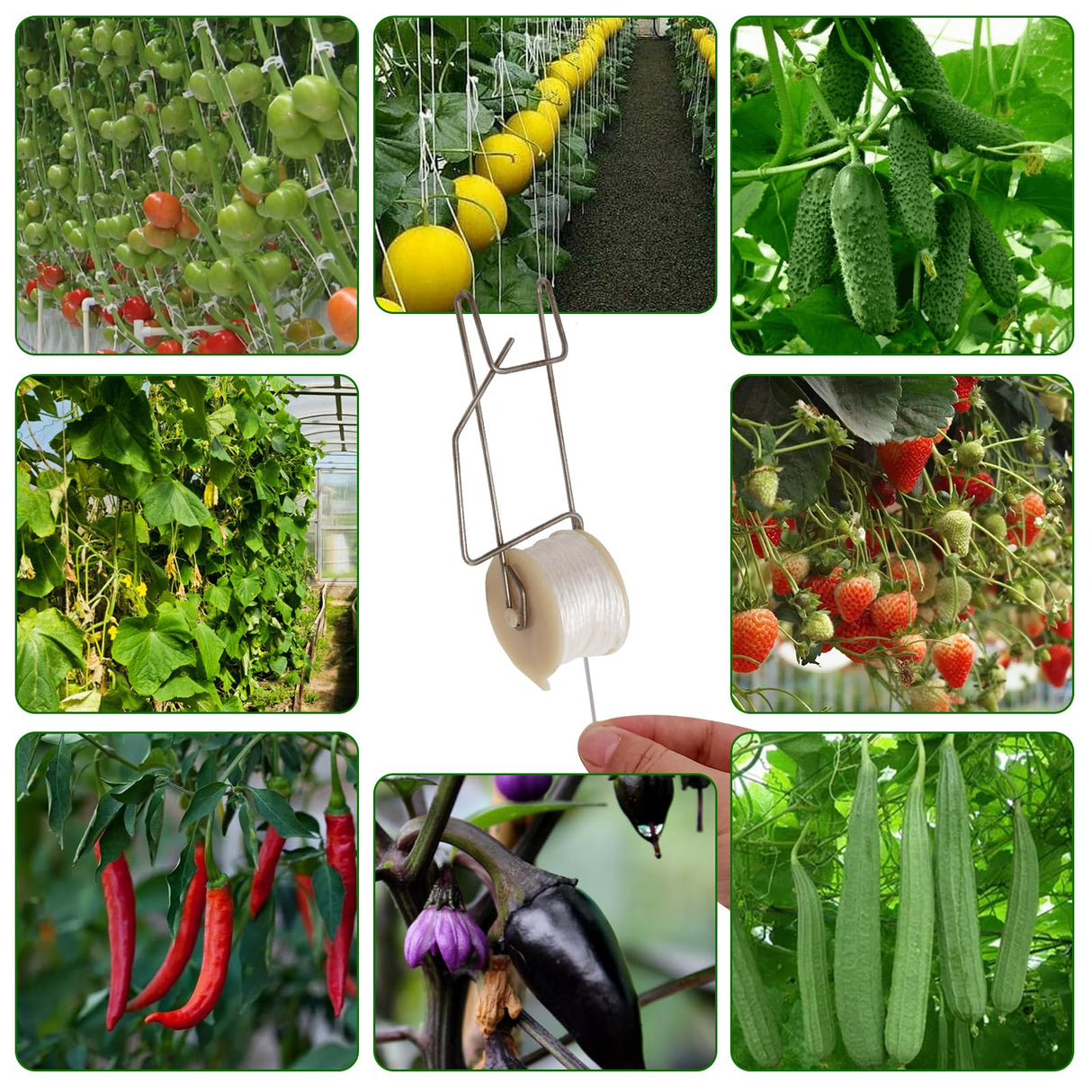 Aynaxcol 20pcs Plant Climbing Hooks Tomato Roller Hooks, Tomato Support Hooks Garden Hooks for Tomato Vine Flower Plant Twine Crop