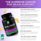 Daiwa Brain Supplement for Adults with Hokkaido Scallop Oil Plasmalogen (HSOP) - 30 Capsules