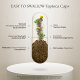 Dr Clark Superblend Wormwood Capsules - Vegetarian 330 mg, 100 Capsules - Wormwood Herb Without Artificial Preservatives, Wormwood Combination with Quassia