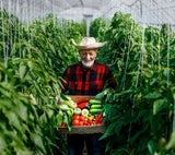 Piteno® 300Pcs Tomato Clips, Plastic Trellis Clips, Plant Support Clips, Grape Vine Tomato Vine Vegetables Plants Garden Support Clips to Grow Upright Makes Plants Healthier (Green)