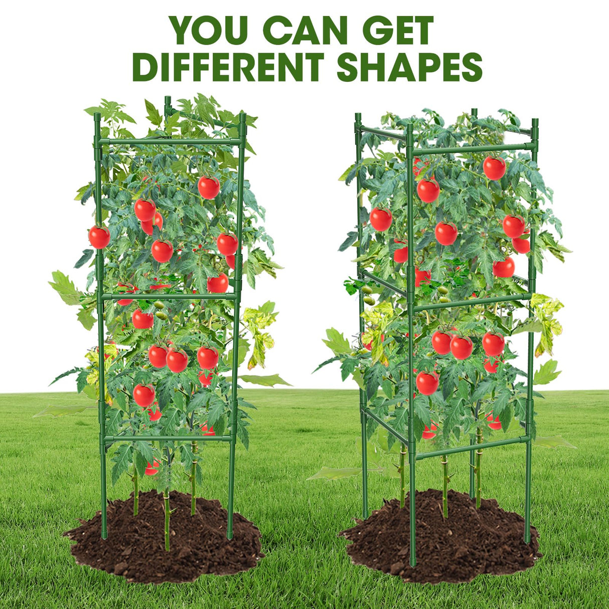 MQHUAYU 6 Pack Tomato Cage,Tomato Cage for Raised Garden Bed, 48'' Tall Tomato TrellisTriangle or Square Cages for Garden,Pots, Plant Cages & Supports（Green, Extra Bold ）