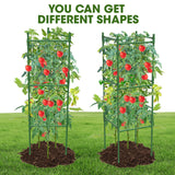 MQHUAYU 6 Pack Tomato Cage,Tomato Cage for Raised Garden Bed, 48'' Tall Tomato TrellisTriangle or Square Cages for Garden,Pots, Plant Cages & Supports（Green, Extra Bold ）