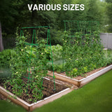 PHENEAHILL Large A-Frame Garden Trellis for Tomatoes, Cucumbers & Heavy Climbing Plants - Rust-Resistant, Heavy-Duty Steel, Perfect for Outdoor Gardens & Vertical Gardening(47" W x 63" H)