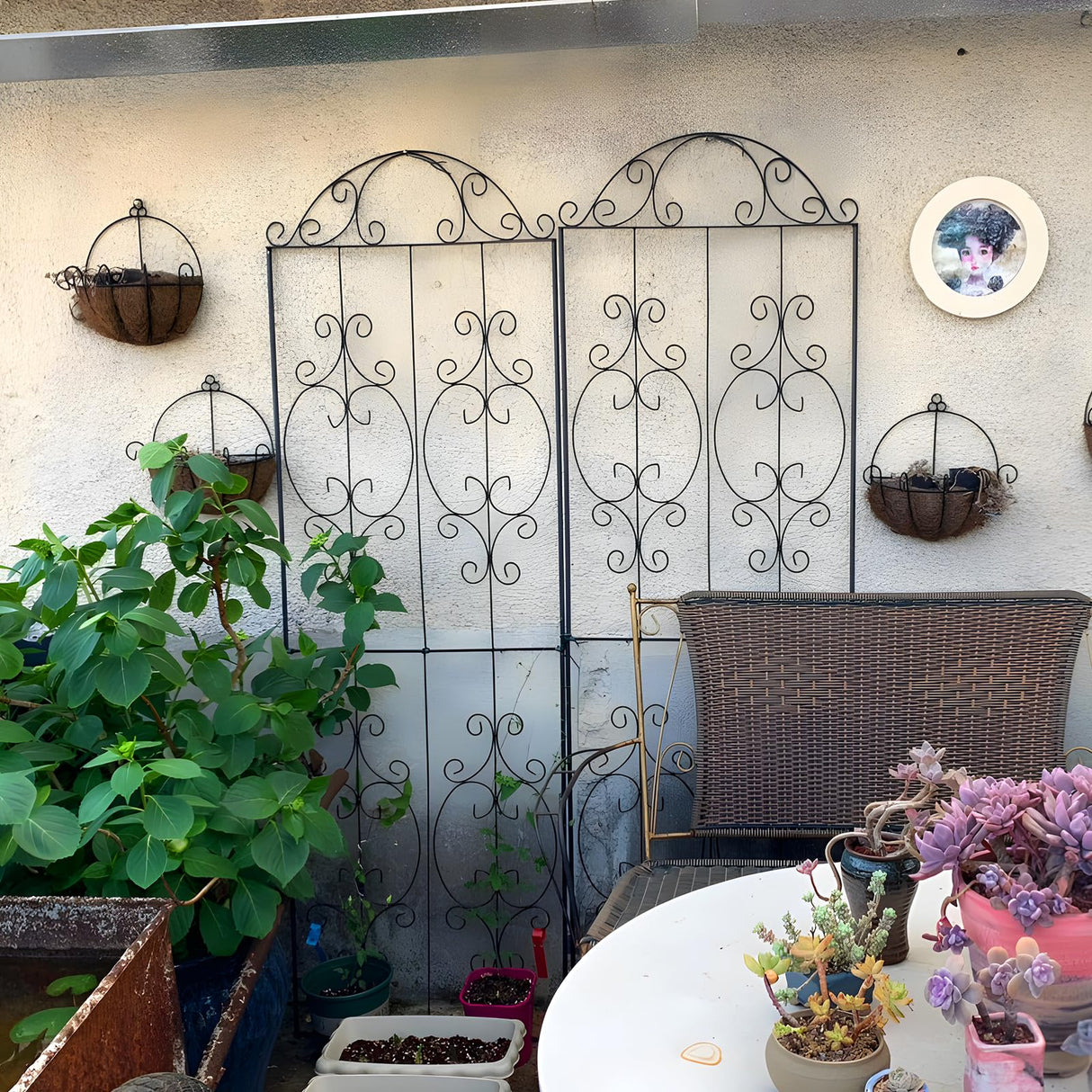 Thealyn Garden Trellis 2 Pack 80 Inch.H x 22 Inch.W